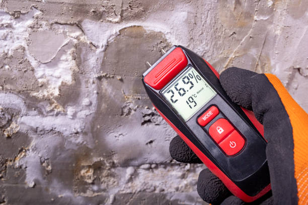Best Mold Removal Near Me  in Tahoka, TX