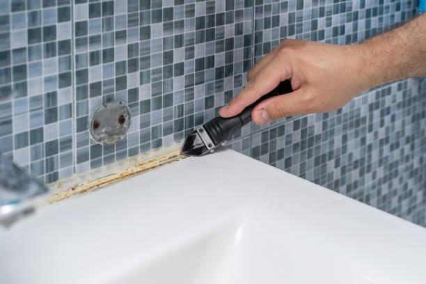 Best Mold Damage Repair  in Tahoka, TX