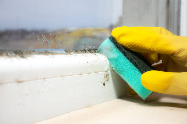 Best Mold Testing  in Tahoka, TX