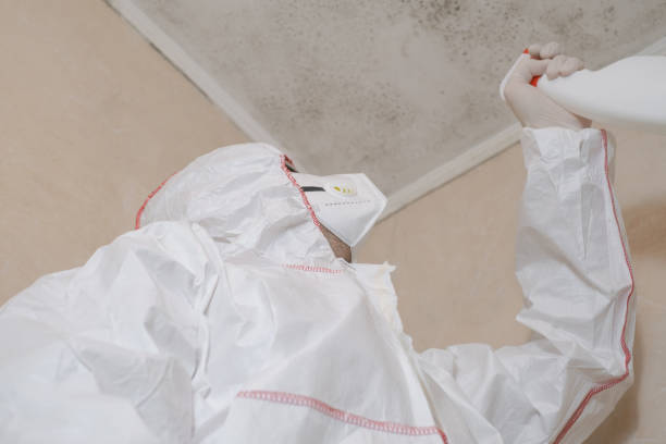 Best Attic Mold Removal  in Tahoka, TX